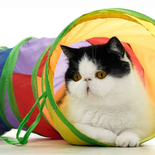 Cat Tunnel – Foldable Interactive Play Tunnel for Cats and Kittens
