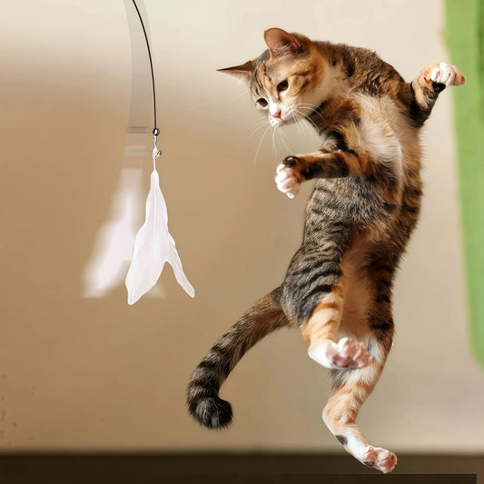Cat Teaser Wand – Interactive Feather Toy with Suction Cup