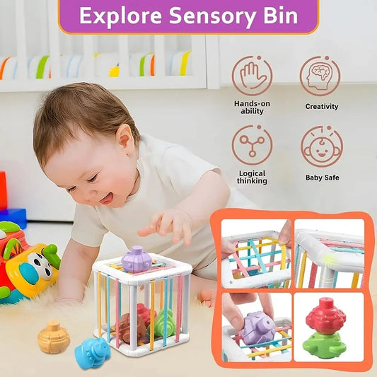 Montessori Shape Sorter Cube with Colorful Sensory Blocks for Babies