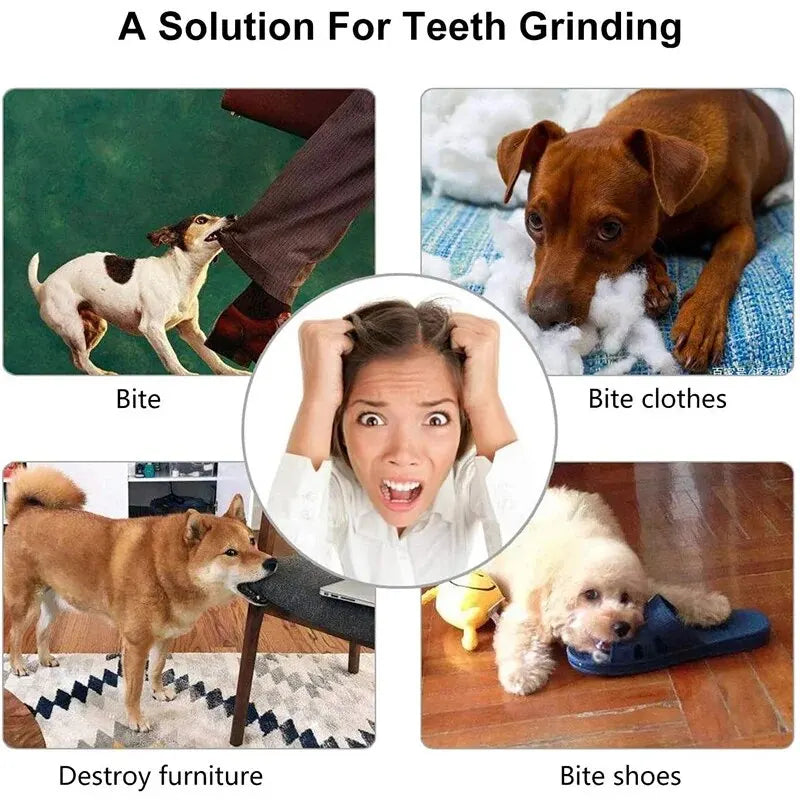 Dog Treat Dispensing Ball – Rubber Chew Toy for Dogs & Puppies