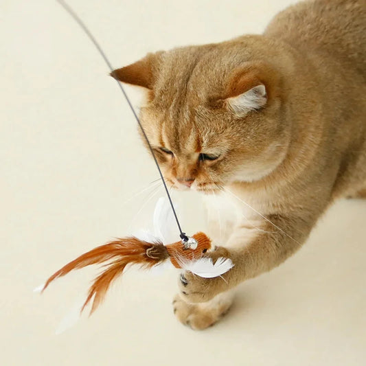 Cat Feather Toy Replacement Head with Bell for Interactive Cat Play