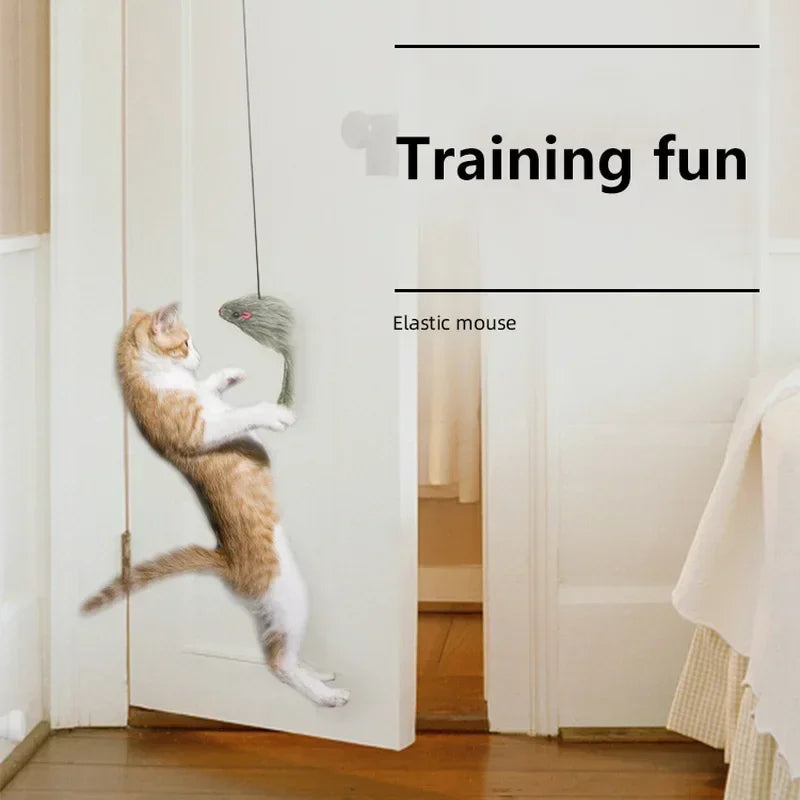 Interactive Cat Door Toy with Hanging Mouse and Retractable Rope