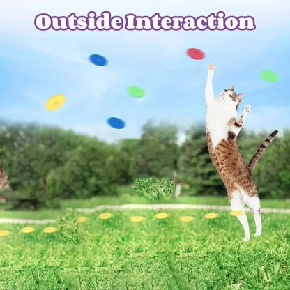 Cat Disc Launcher Toy with 15 Reusable Foam Discs for Interactive Play