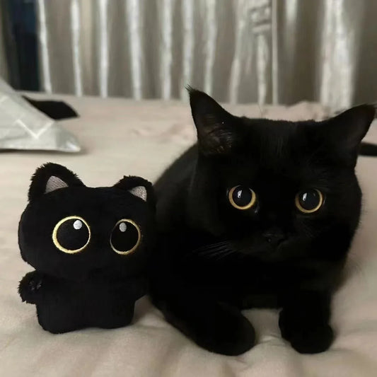 Black Cat Plush Toy 10cm, Cute Soft Stuffed Animal Doll