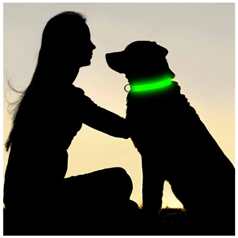 LED Dog Collar – Light Up Adjustable Collar with 3 Flash Modes