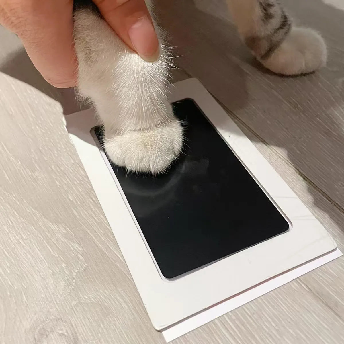 Inkless Paw Print Kit – No Touch Pet Paw Print Keepsake Set