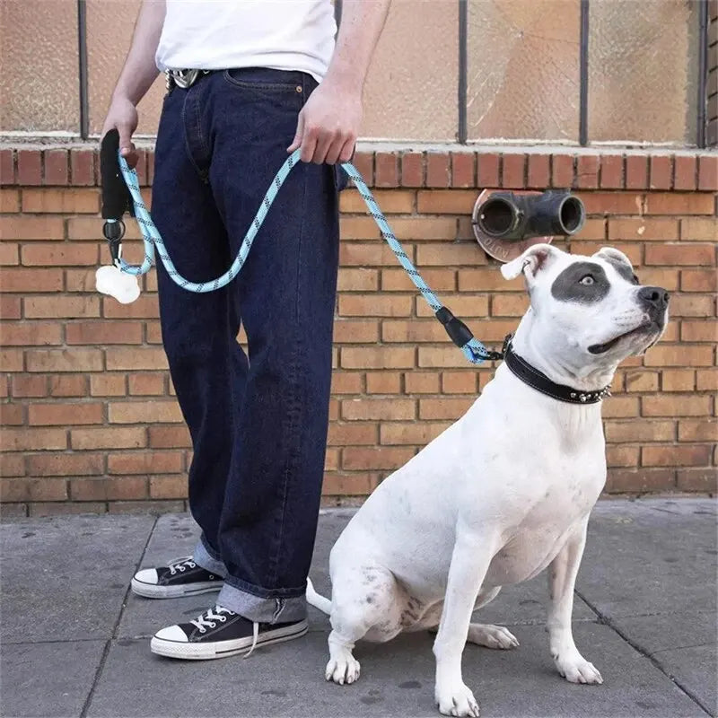 Reflective Dog Leash – Heavy Duty Double Rope with Padded Handle