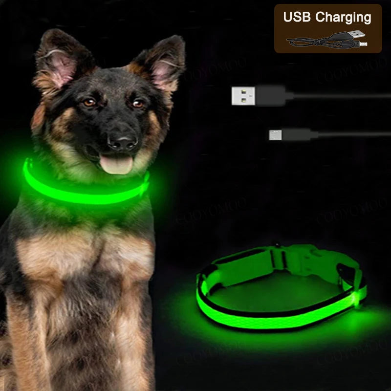 LED Dog Collar – Light Up Adjustable Collar with 3 Flash Modes