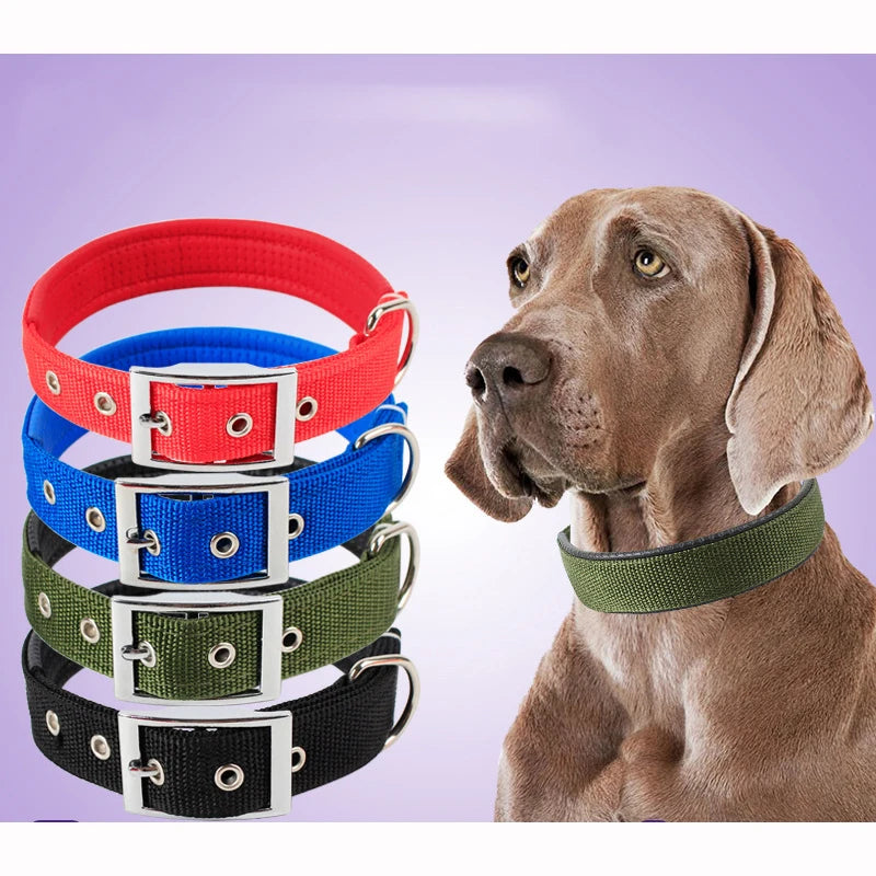Nylon Dog Collar – Solid Breakaway Collar for Dogs