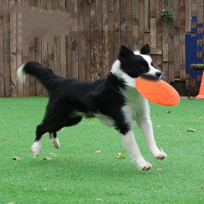 Dog Flying Disc – Rubber Interactive Throwing Toy for Dogs and Cats
