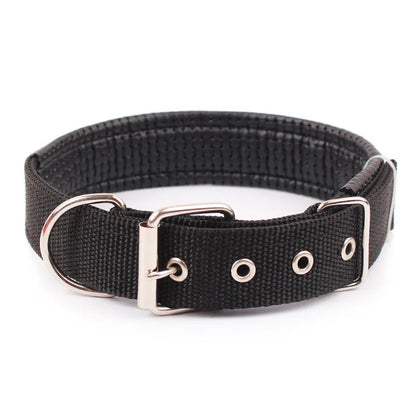 Nylon Dog Collar – Solid Breakaway Collar for Dogs