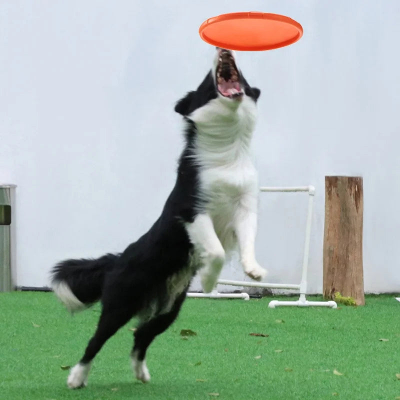 Dog Flying Disc – Rubber Interactive Throwing Toy for Dogs and Cats