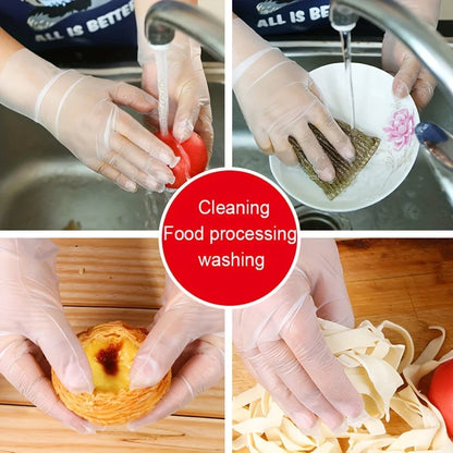 Disposable TPE Gloves – Powder Free & Latex Free