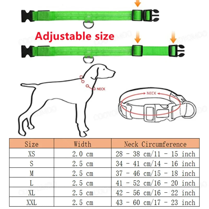 LED Dog Collar – Light Up Adjustable Collar with 3 Flash Modes