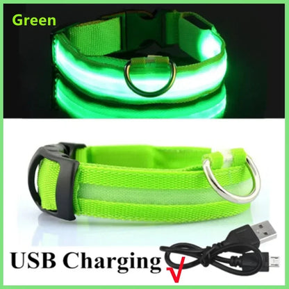 LED Dog Collar – Light Up Adjustable Collar with 3 Flash Modes