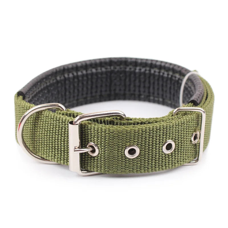 Nylon Dog Collar – Solid Breakaway Collar for Dogs