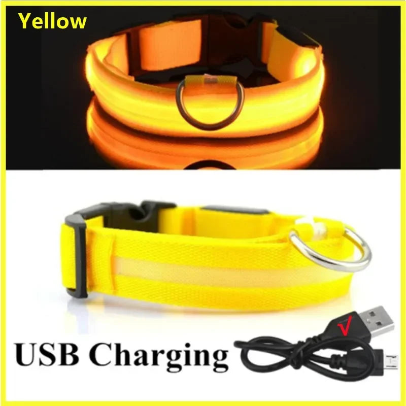 LED Dog Collar – Light Up Adjustable Collar with 3 Flash Modes