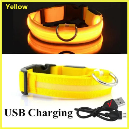 LED Dog Collar – Light Up Adjustable Collar with 3 Flash Modes