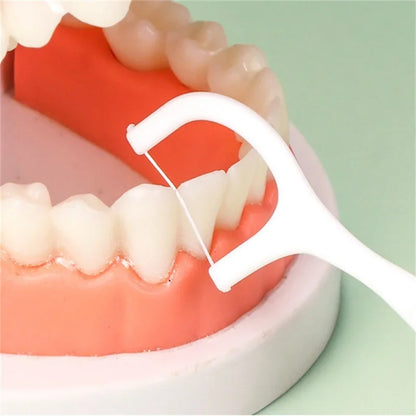 Dental Floss Sticks – Portable Disposable Oral Care Floss