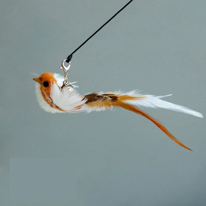 Cat Feather Toy Replacement Head with Bell for Interactive Cat Play
