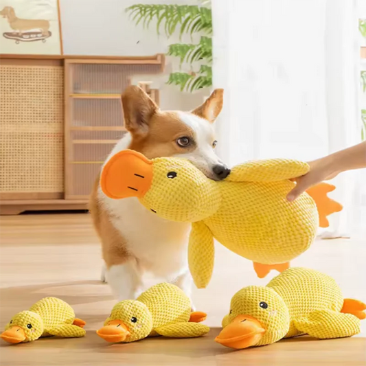 Squeaky Duck Dog Toy – Interactive Plush Toy for Playtime