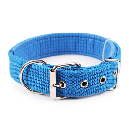 Nylon Dog Collar – Solid Breakaway Collar for Dogs
