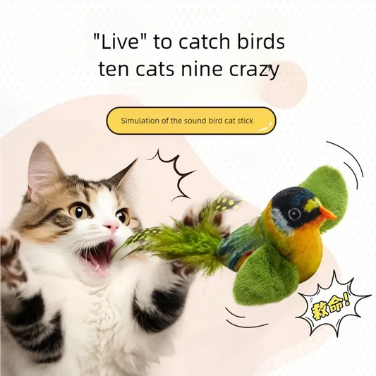 Interactive Bird Cat Toy Plush for Chewing and Play