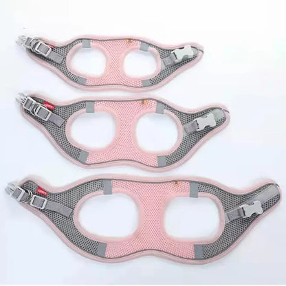 Reflective Pet Harness – Breathable Adjustable Vest & Leash Set