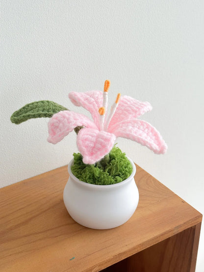 Hand-Knitted Lily Potted Plant Delicate Crochet Woven Flower Pot Mother's Day Gift Home Decor