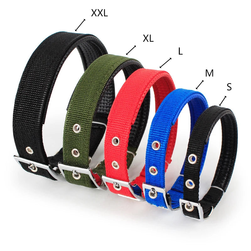 Nylon Dog Collar – Solid Breakaway Collar for Dogs