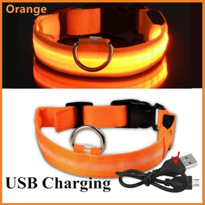 LED Dog Collar – Light Up Adjustable Collar with 3 Flash Modes