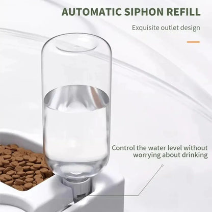 Dog Food and Water Bowl – Dual Feeding and Drinking Pet Bowl
