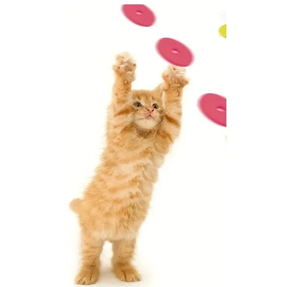 Cat Disc Launcher Toy with 15 Reusable Foam Discs for Interactive Play