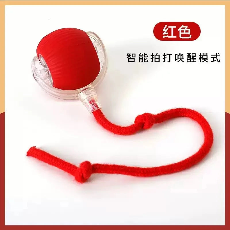 Interactive Dog Ball – Rechargeable Chew Resistant Pet Toy