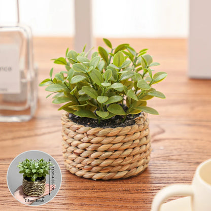 XIYA FLOWER Green Artificial Plants Eucalyptus Grass Woven Small Potted Plants Grass Mound 11cm PE Material Home Decoration