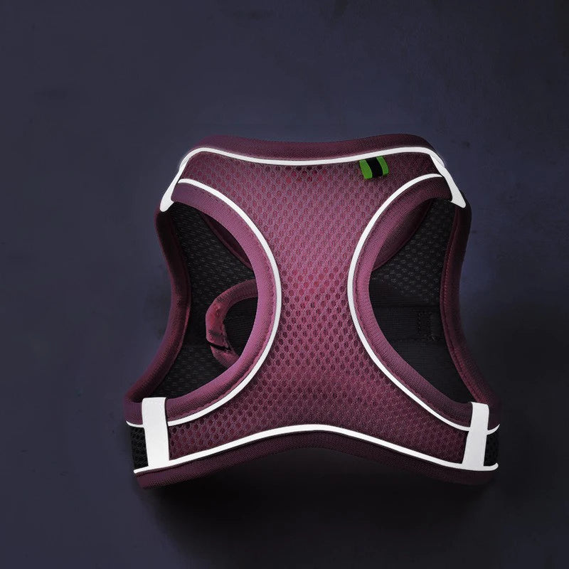 Reflective Pet Harness – Breathable Adjustable Vest & Leash Set