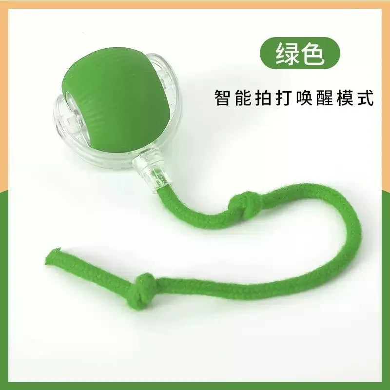 Interactive Dog Ball – Rechargeable Chew Resistant Pet Toy