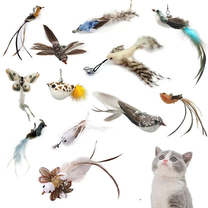 Cat Feather Toy Replacement Head with Bell for Interactive Cat Play