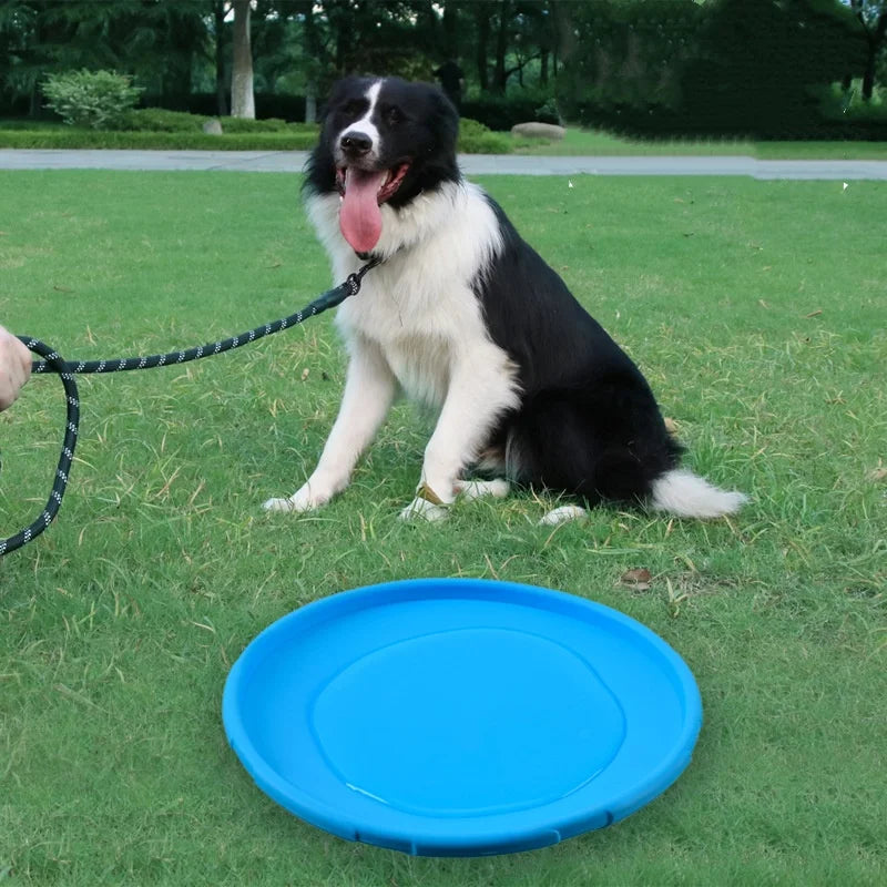 Dog Flying Disc – Rubber Interactive Throwing Toy for Dogs and Cats
