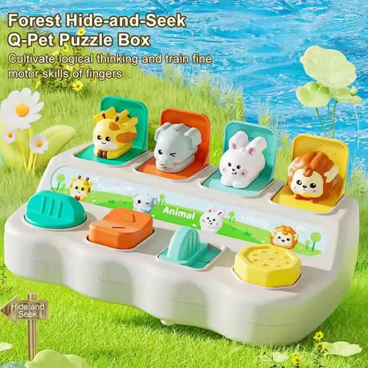 Pop Up Animal Toy Hide and Seek Learning Box for Toddlers
